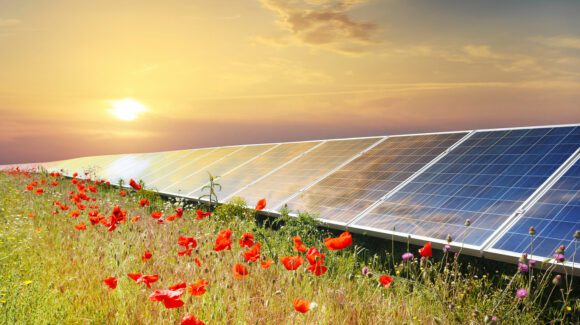 Restoring the Environment through Clean Energy